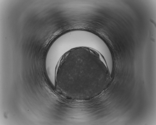 X0000099570260200806131302