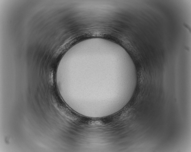X0000099570262200806131303