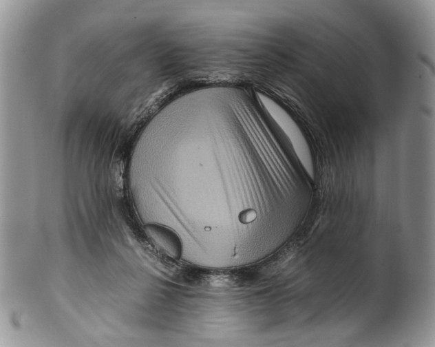 X0000099570264200806131303