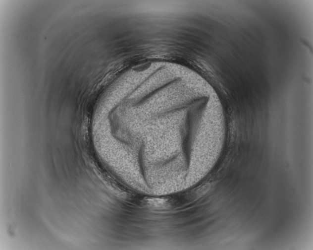 X0000099570265200806131303