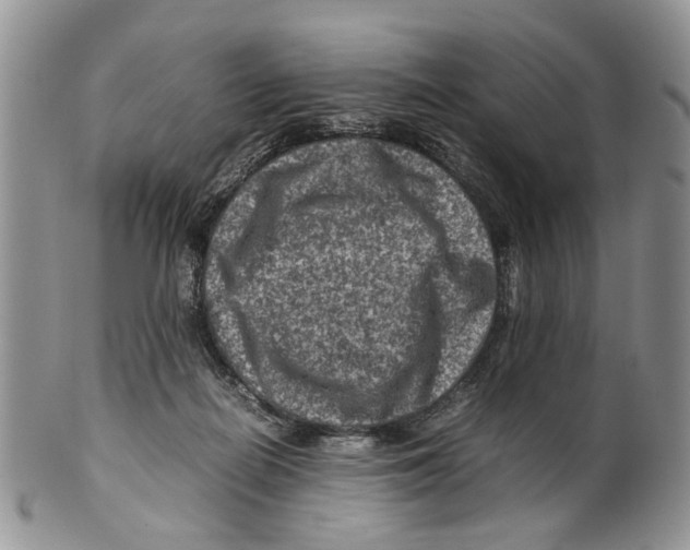 X0000099570266200806131303