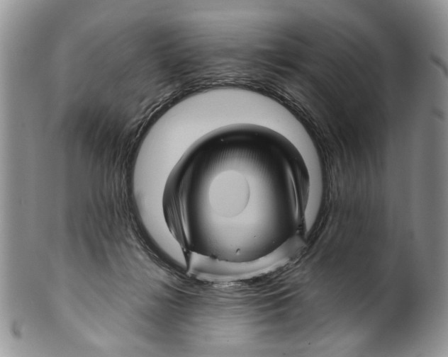 X0000099570268200806131303