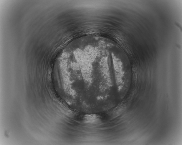 X0000099570269200806131303