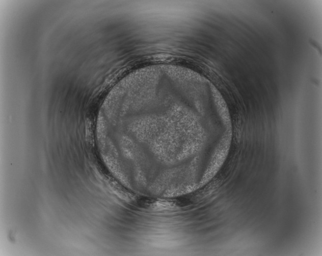 X0000099570270200806131303