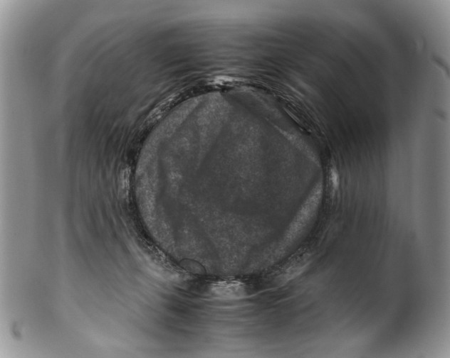 X0000099570271200806131303