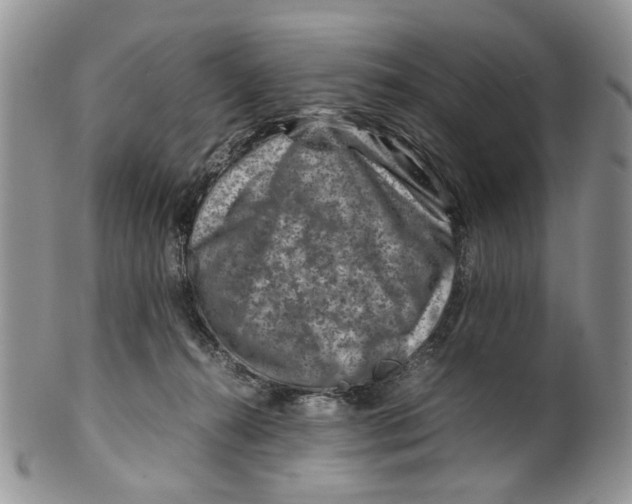 X0000099570272200806131303