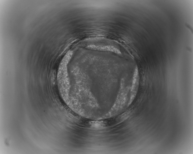 X0000099570273200806131303