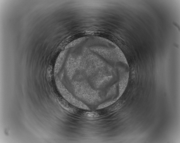 X0000099570275200806131303
