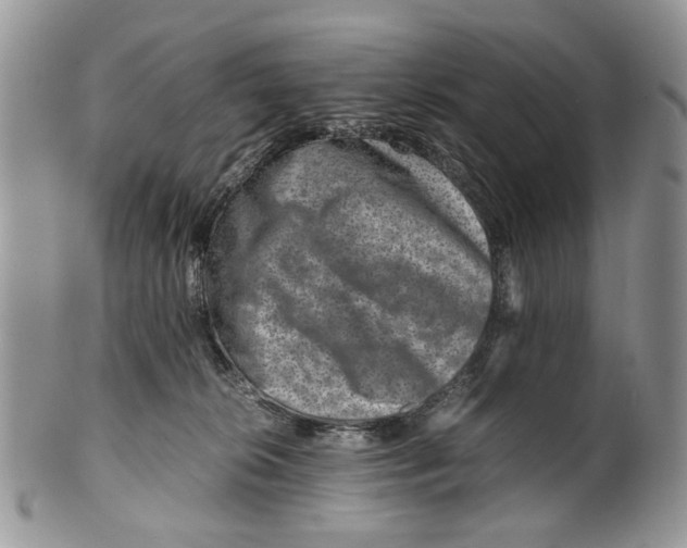 X0000099570276200806131303