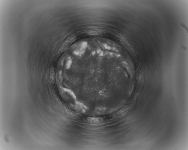 X0000099570277200806131303