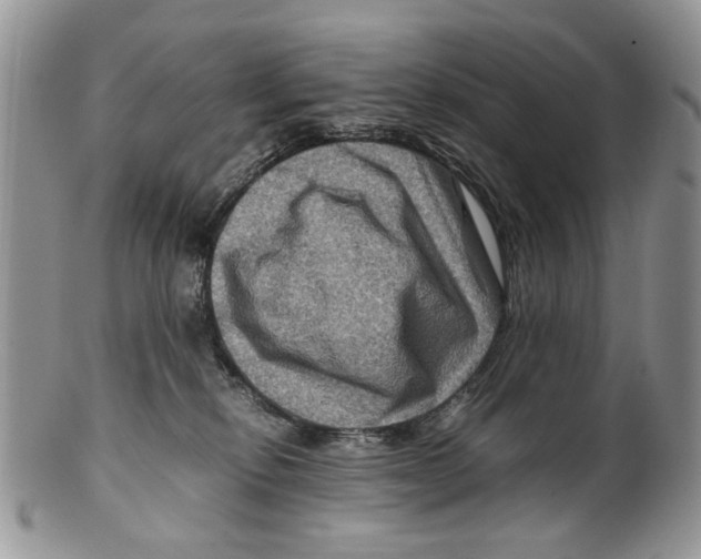 X0000099570278200806131303