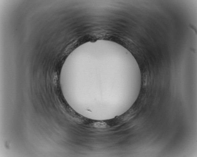 X0000099570279200806131303