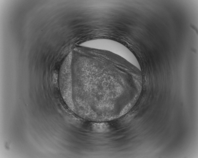 X0000099570281200806131303