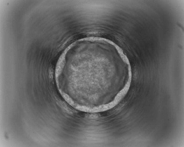 X0000099570282200806131303