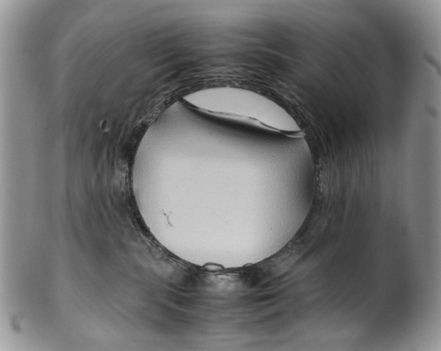 X0000099570283200806131303