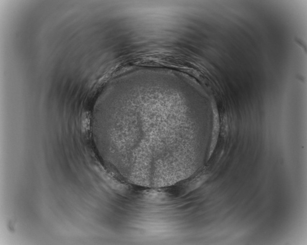 X0000099570284200806131303