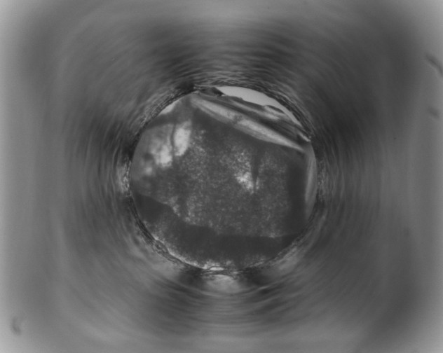 X0000099570285200806131303