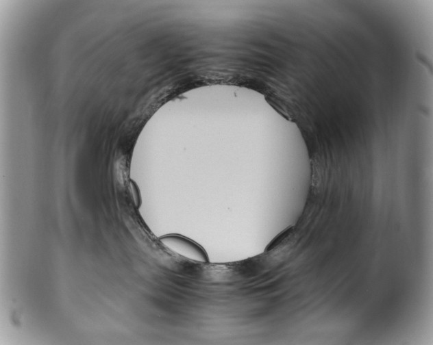 X0000099570287200806131303