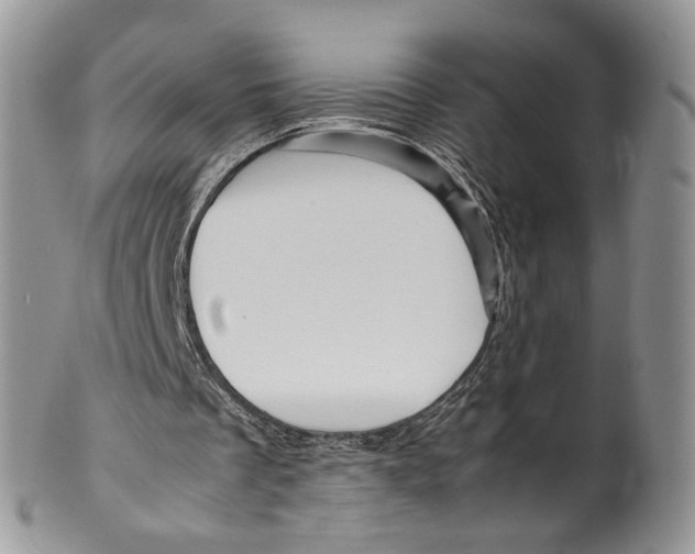 X0000099570289200806131302