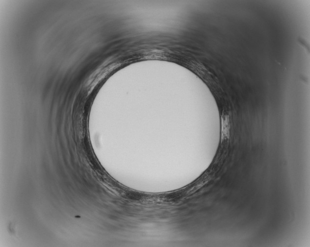 X0000099570291200806131302