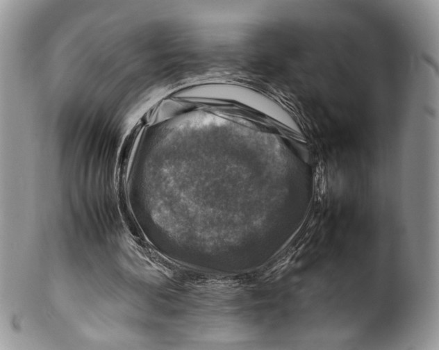 X0000099570292200806131302