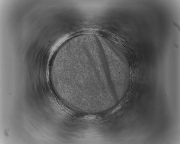X0000099570294200806131302