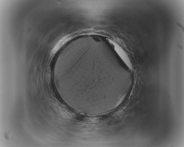 X0000099570295200806131302