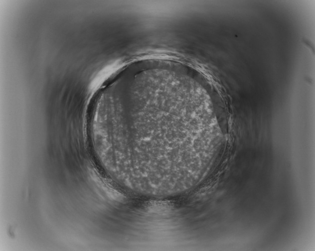 X0000099570296200806131302