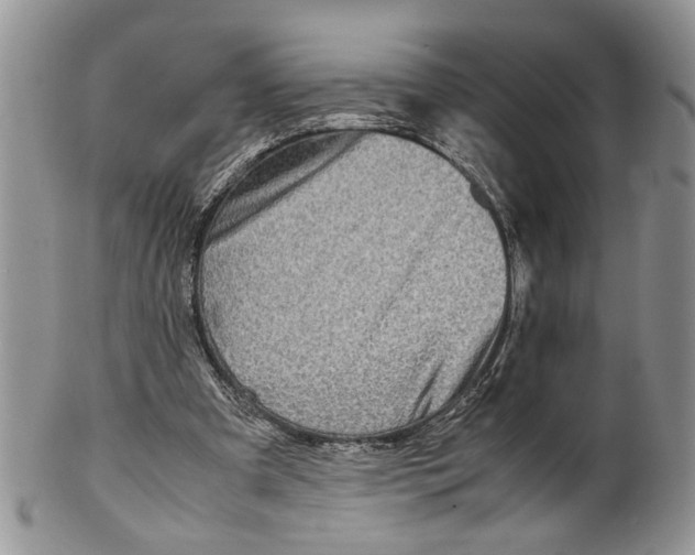 X0000099570297200806131302