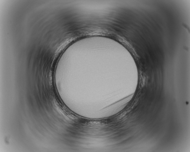 X0000099570298200806131302