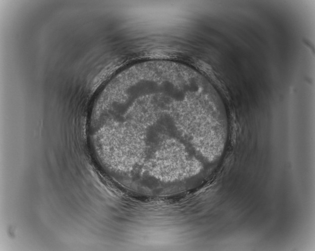 X0000099570299200806131302