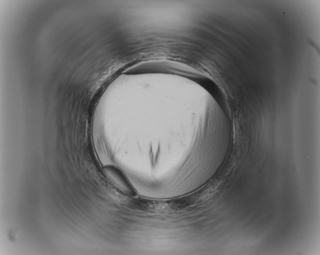 X0000099570301200806131302