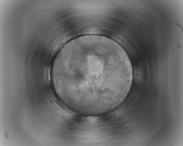 X0000099570302200806131302