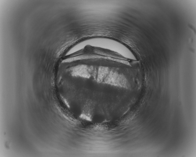 X0000099570303200806131302