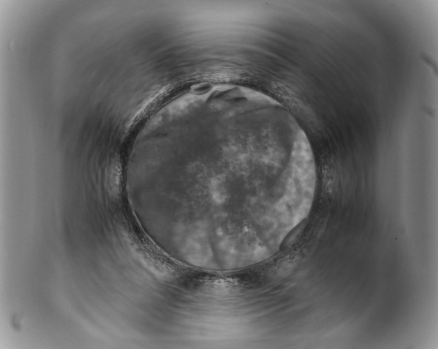 X0000099570304200806131302