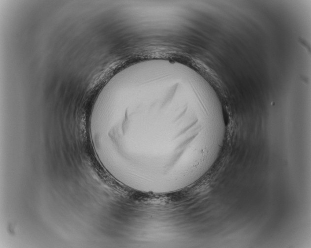 X0000099570306200806131302