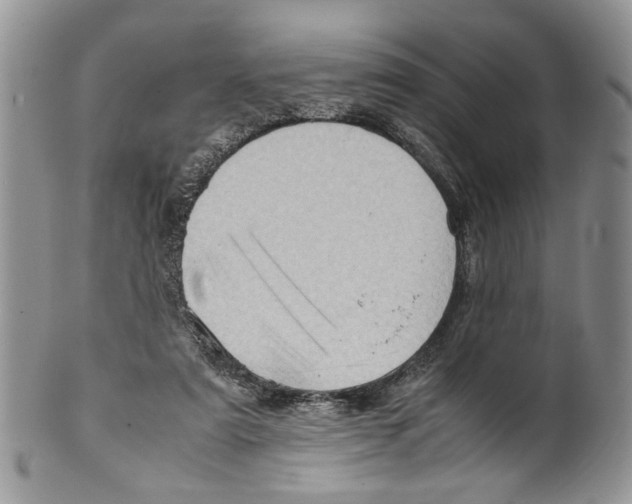 X0000099570307200806131302