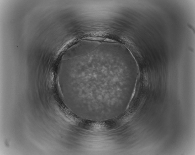 X0000099570308200806131302