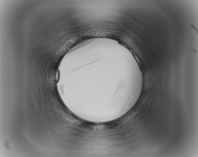 X0000099570309200806131302