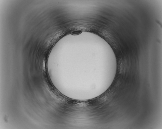 X0000099570310200806131302