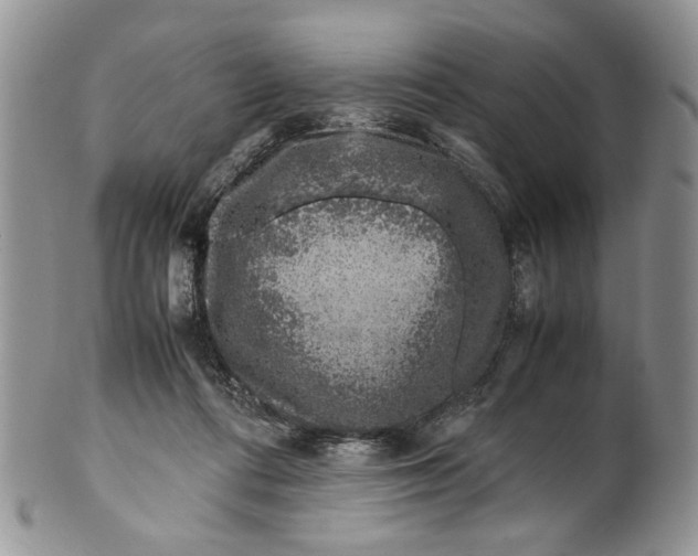 X0000099570312200806131302