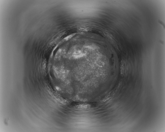 X0000099570314200806131302
