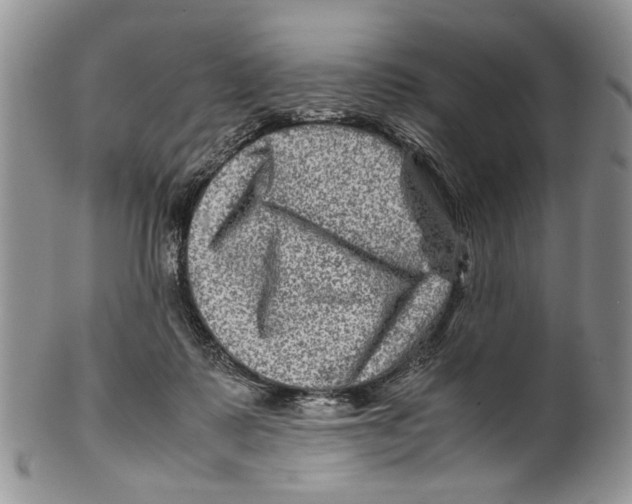 X0000099570315200806131302