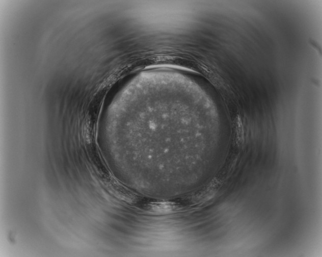 X0000099570316200806131302