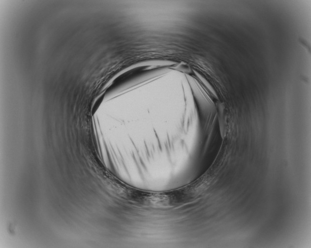 X0000099570317200806131302