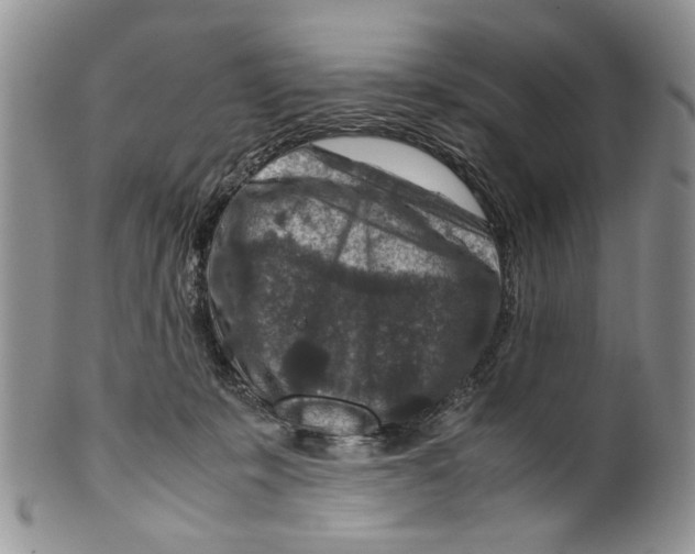X0000099570319200806131302