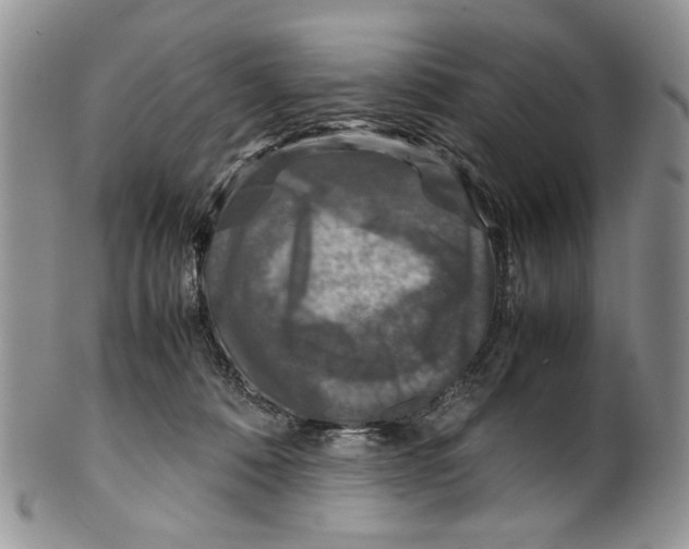 X0000099570320200806131302