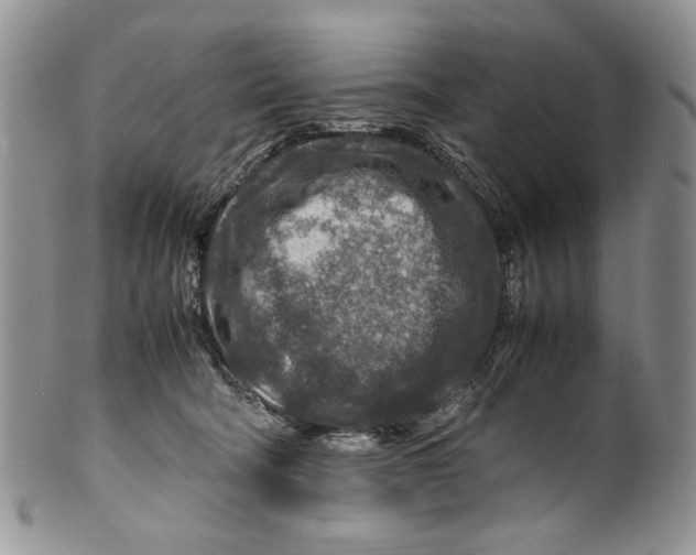 X0000099570322200806131302