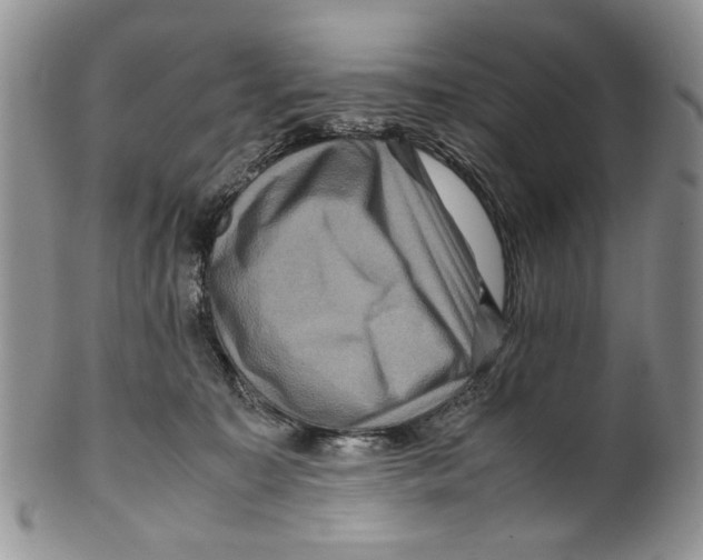 X0000099570323200806131302