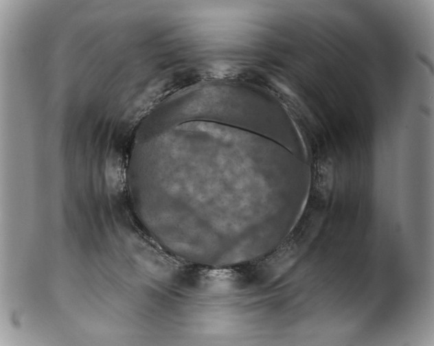 X0000099570324200806131302